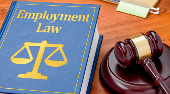 What Steps Should You Take as a Business Owner When Employment Law Changes?