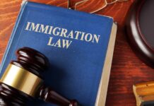 6 Tips to Find the Right Immigration Lawyer for You – 2024 Guide