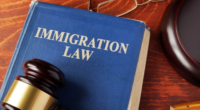 6 Tips to Find the Right Immigration Lawyer for You – 2024 Guide