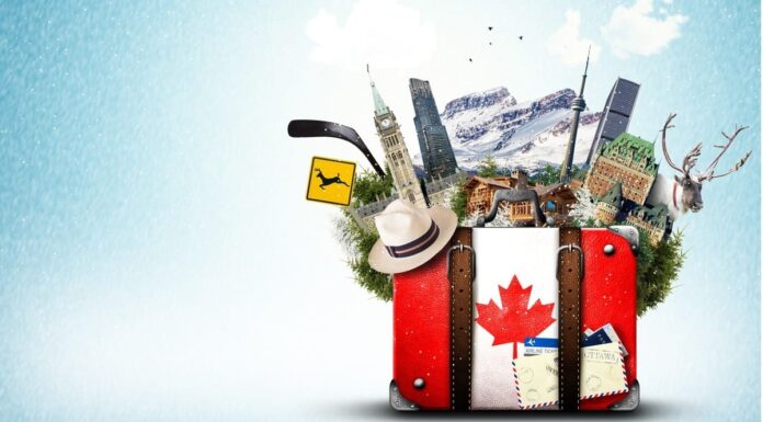 What Qualifications Do You Need To Immigrate To Canada In 2024