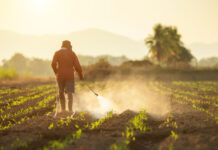 8 Reasons Why You Should Go for Punitive Damages in a Paraquat Exposure Case