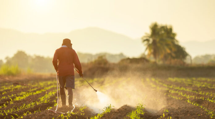 8 Reasons Why You Should Go for Punitive Damages in a Paraquat Exposure Case