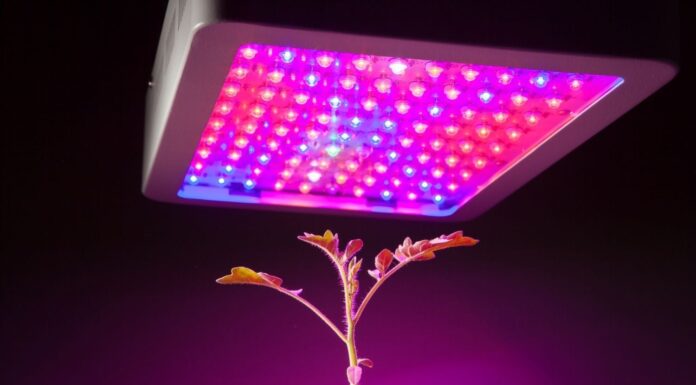 LEDs and the Next Generation of Growing Technology: The VIVOSUN VSf4300