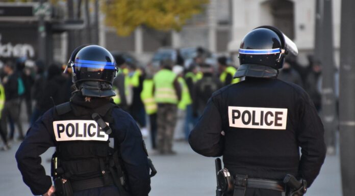 Combating Police Misconduct: The Role Of Institutions, Media, And The Public