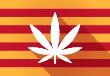 Cannabis Culture in Spain: Exploring the Laws around Weed 2024