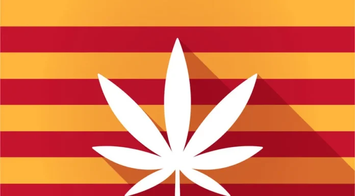 Cannabis Culture in Spain: Exploring the Laws around Weed 2024