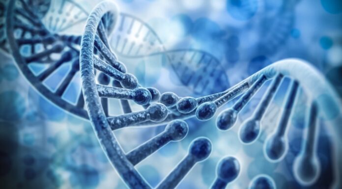 DNA Testing And Child Support: How Paternity Tests Can Affect Legal Obligations