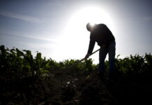 Seeking Justice: Legal Protections for Injured Farmworkers Seeking Justice: Legal Protections for Injured Farmworkers