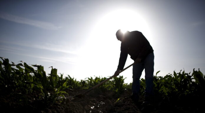Seeking Justice: Legal Protections for Injured Farmworkers Seeking Justice: Legal Protections for Injured Farmworkers