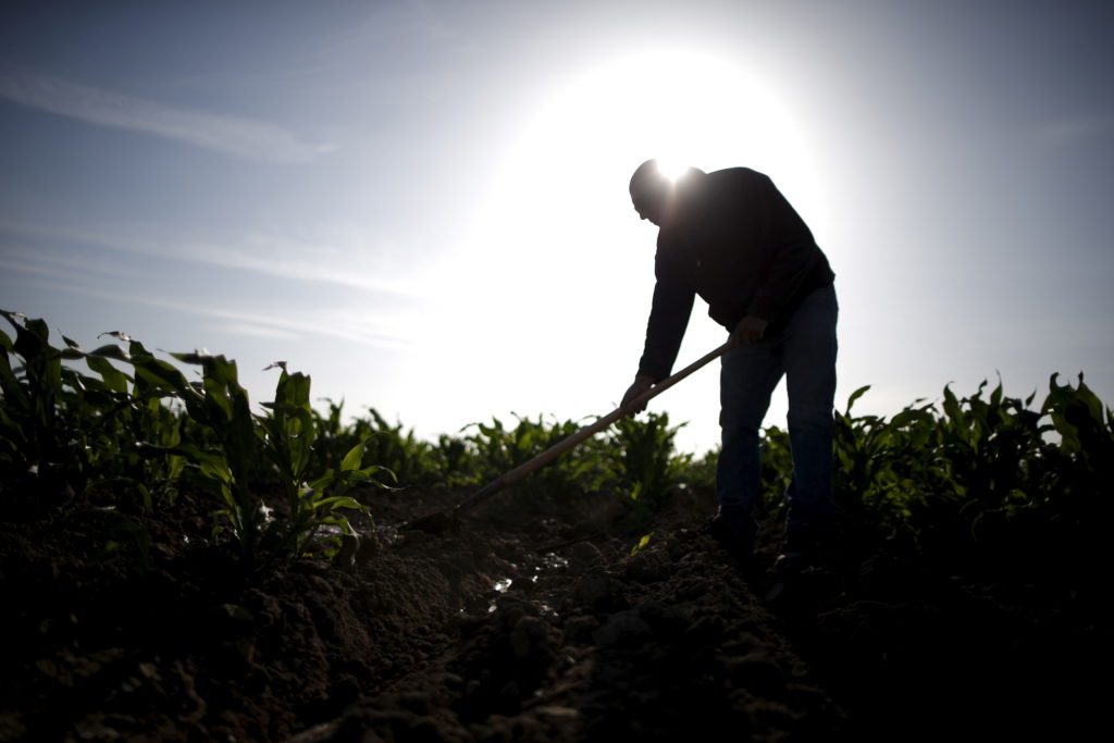 Seeking Justice: Legal Protections for Injured Farmworkers