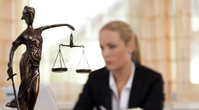 Family Law in Langley ─ Unveiling the Role of Family Lawyers for You